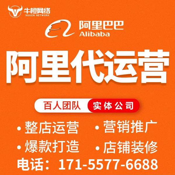 林州电商代运营