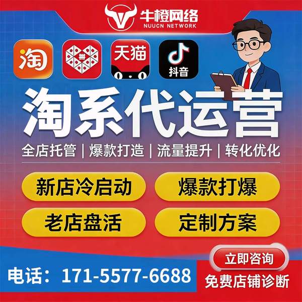 林州电商代运营