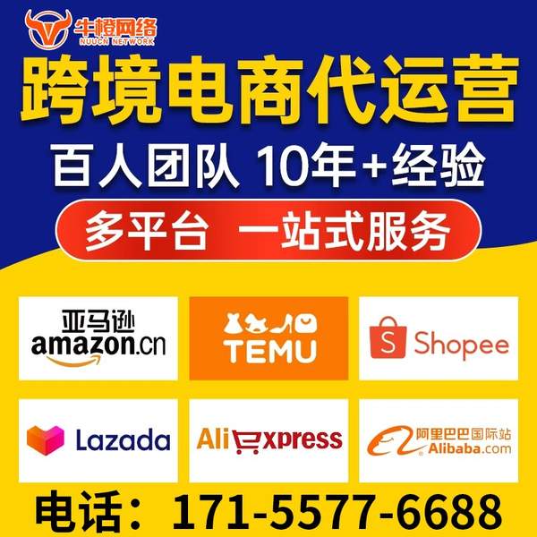 林州电商代运营