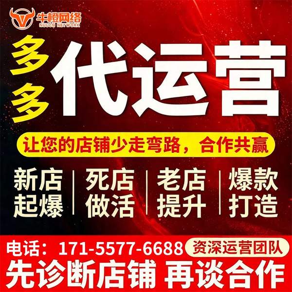 林州电商代运营