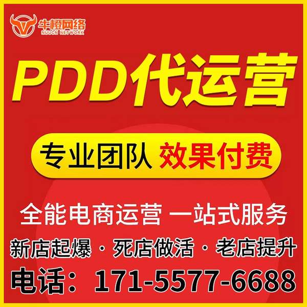 林州电商代运营
