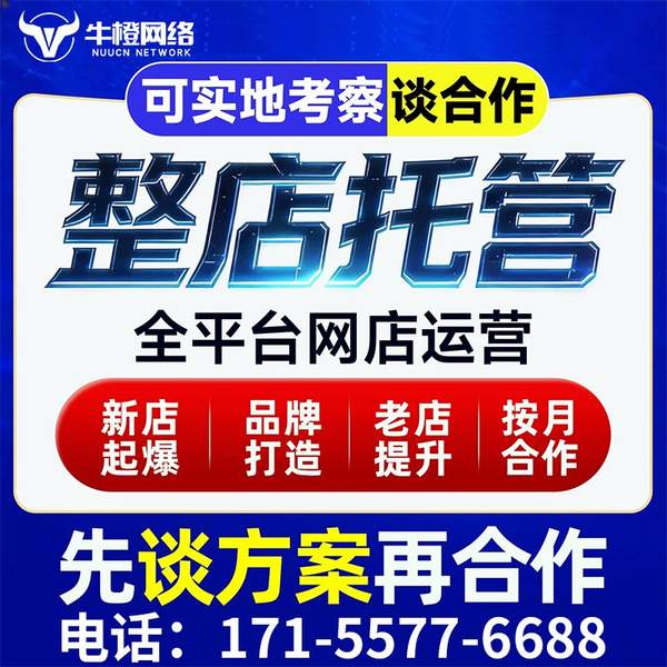 林州电商代运营