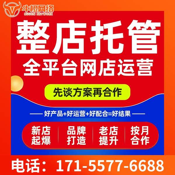 林州电商代运营