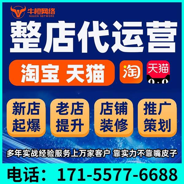 林州电商代运营