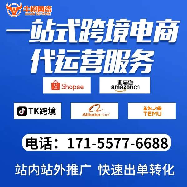 林州电商代运营