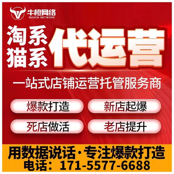 林州电商代运营